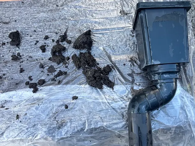 R7.9_新規出店◎【台風対策に】雨どいの掃除・修理｜詰まり・劣化も安心対応サービスの画像