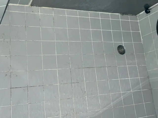 浴室の床シート貼り付け(バスフロア)サービスの画像