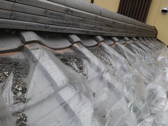 【日本瓦漆喰工事】日本瓦の漆喰詰め直しサービスの画像