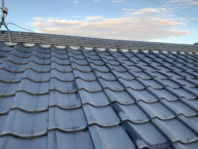 【日本瓦漆喰工事】日本瓦の漆喰詰め直しサービスの画像