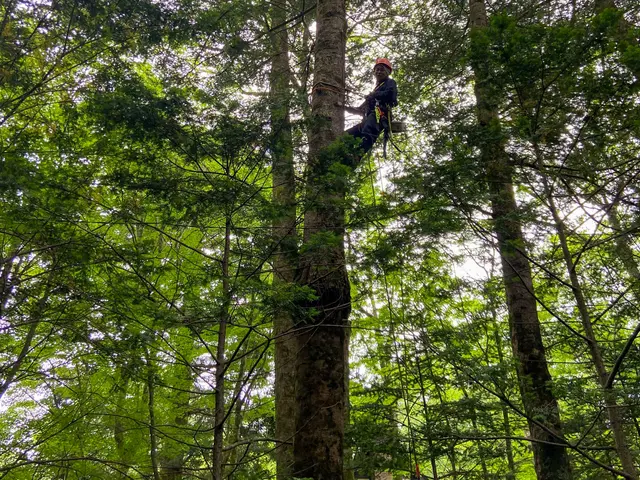 【保険加入済みで安心◎】プロの技術で納得の仕上がりに！ご要望をお聞かせ下さい！サービスの画像