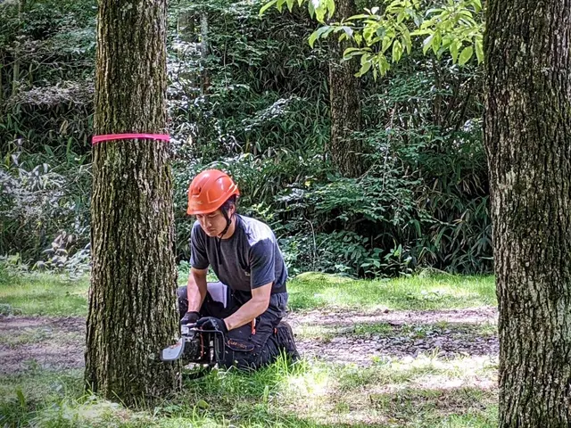 【保険加入済みで安心◎】プロの技術で納得の仕上がりに！ご要望をお聞かせ下さい！サービスの画像