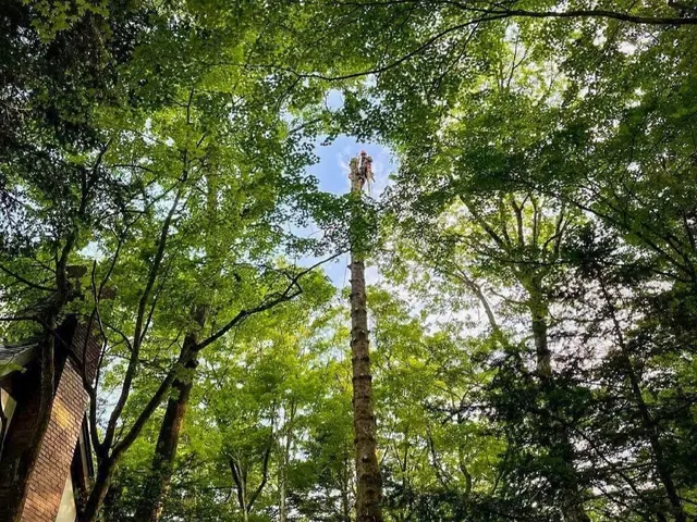 【保険加入済みで安心◎】プロの技術で納得の仕上がりに！ご要望をお聞かせ下さい！サービスの画像