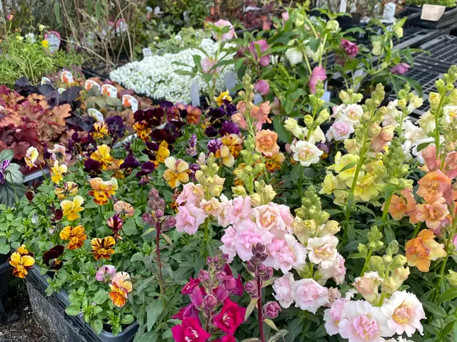 プロの技術でご満足いただけるように心を込めて作業いたしますサービスの画像