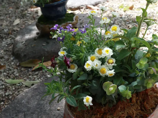 プロの技術でご満足いただけるように心を込めて作業いたしますサービスの画像