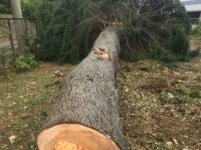 【15年の実績】作業外注一切なし◎すべて自社対応です！サービスの画像