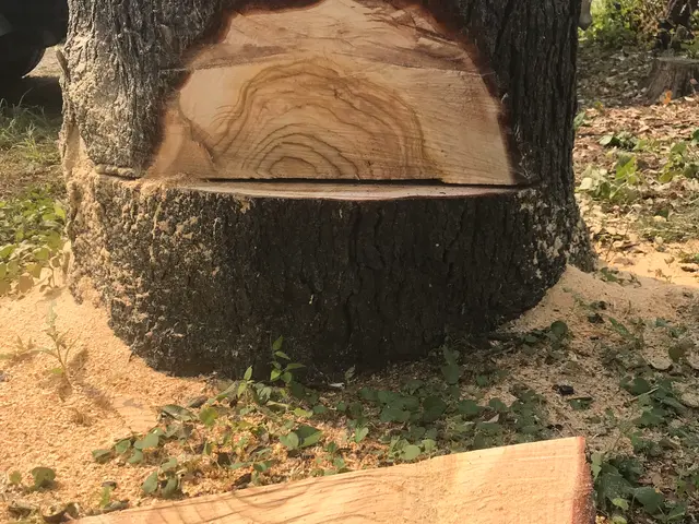 【15年の実績】作業外注一切なし◎すべて自社対応です！サービスの画像