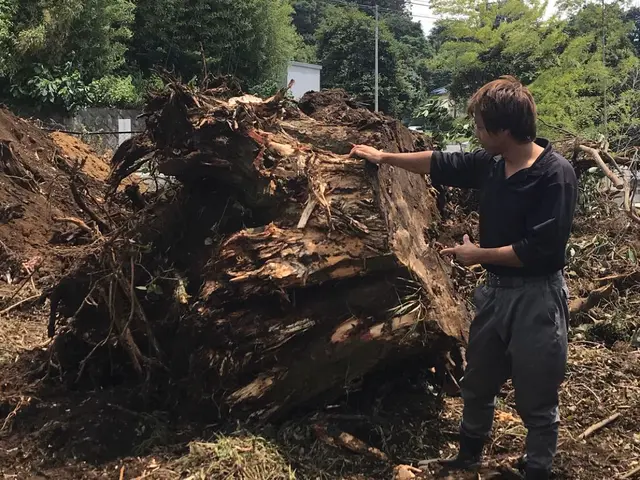 【15年の実績】作業外注一切なし◎すべて自社対応です！サービスの画像