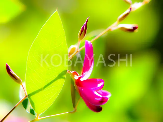 各種イベント・学会・パーティー撮影、経験多数