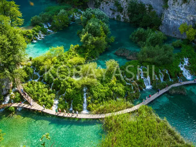 各種イベント・学会・パーティー撮影、経験多数