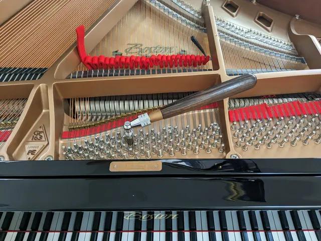 【大手業歴40年の実績】芦屋神戸市中心・ピアノ調律◎親切丁寧に古いピアノも歓迎サービスの画像