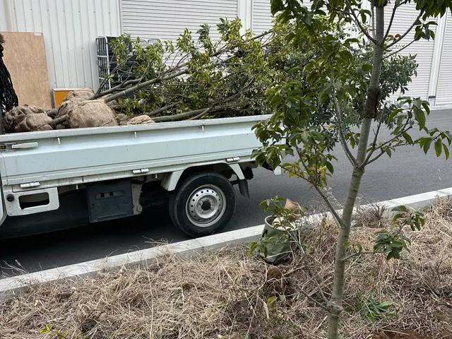 お家の植栽の植え替えまかしてください！サービスの画像