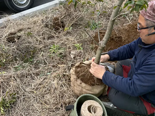 お家の植栽の植え替えまかしてください！サービスの画像