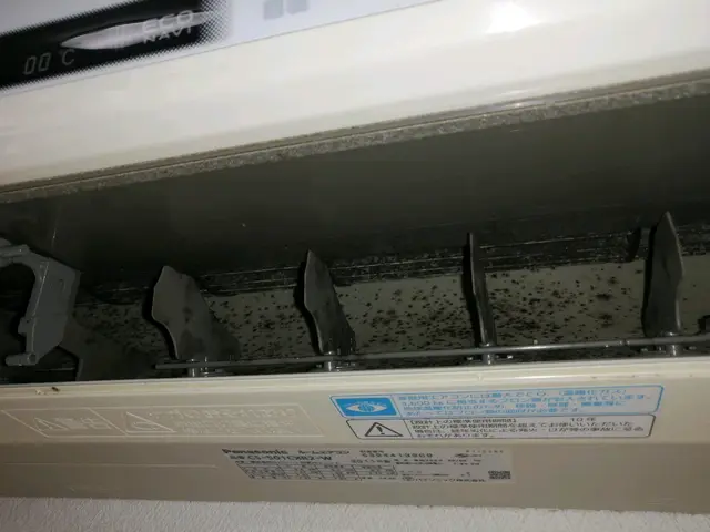 P代は当店負担◎女性スタッフ同行OK！プロの意地でしっかりキレイにしていきます♫サービスの画像