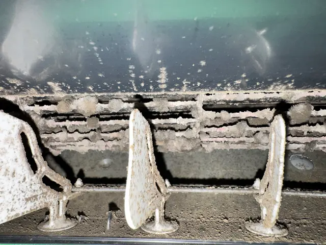 【抗菌コート無料】空気まで気持ちいいエアコンクリーニングサービスの画像