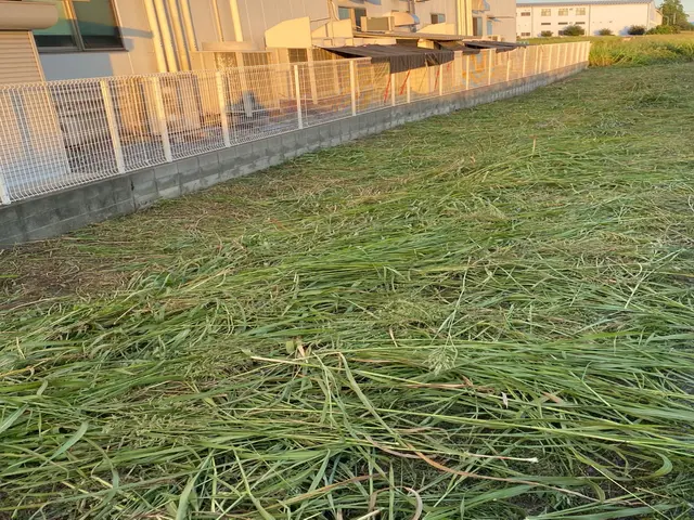 損害保険加入済◎丁寧・安心を重視！経験と知識を活かして迅速丁寧に作業いたします！サービスの画像