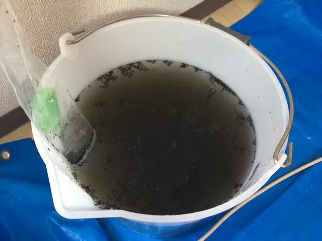 ★タイムセール中★ご予約はお早めに★防カビ無料★3台以上で割引！！サービスの画像