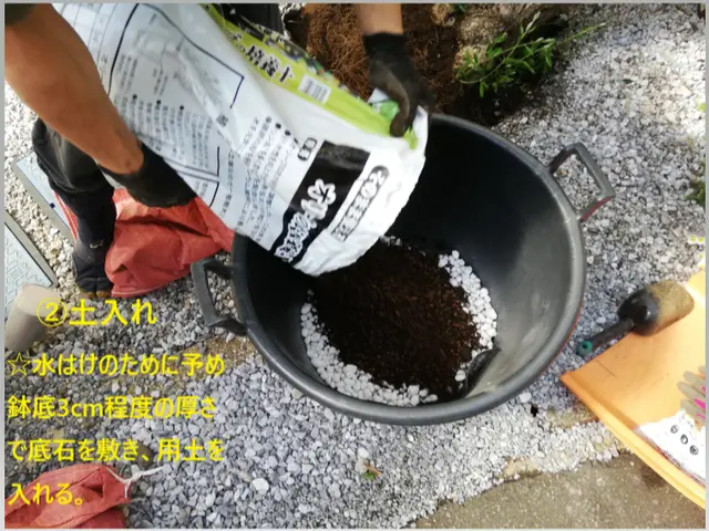 植木やお庭の「困った」をスッキリ解決！◇神奈川近郊◇安心価格◇365日対応OKサービスの画像