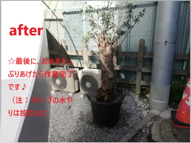 植木やお庭の「困った」をスッキリ解決！◇神奈川近郊◇安心価格◇365日対応OKサービスの画像