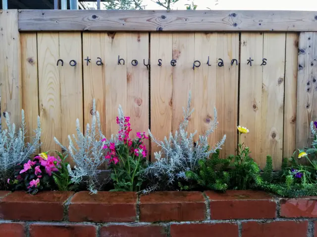 植木やお庭の「困った」をスッキリ解決！◇神奈川近郊◇安心価格◇365日対応OKサービスの画像