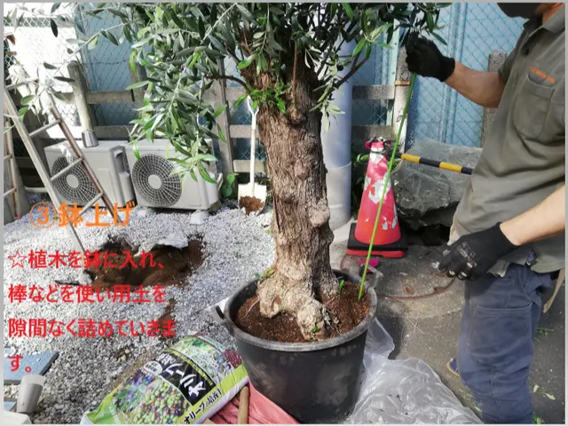 植木やお庭の「困った」をスッキリ解決！◇神奈川近郊◇安心価格◇365日対応OKサービスの画像