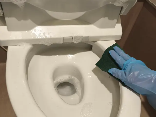 業界最安値/業界実績20年のプロが伺います/追加料金不要/安心の法人登録！サービスの画像