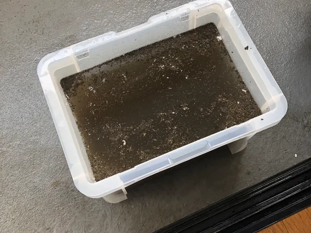 【7000台越えの実績！】駐車場代無料中！お子様や妊娠中の方も安心の洗浄です！サービスの画像