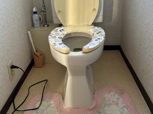 ◆千葉県佐倉市発◆大手業務経験豊富◆引っ越しなど☆賃貸物件の原状回復時に!!サービスの画像