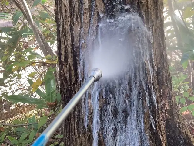 松枯れ対策に関しては、消毒作業のほか、松枯れ予防処置などございますサービスの画像