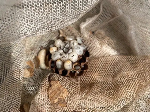 子育て中のママが2年間で250基の実績！サービスの画像