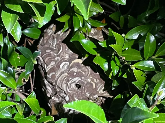 子育て中のママが2年間で250基の実績！サービスの画像