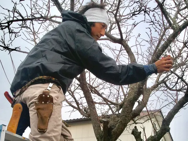 【業界歴10年以上の経験実績】地域密着◎営業時間外のご予約も相談受付中！サービスの画像