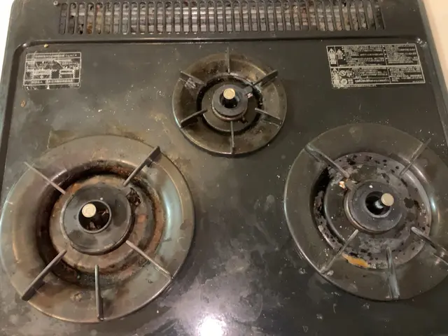 エコ洗剤使用の環境にやさしいハウスクリーニング士です。サービスの画像