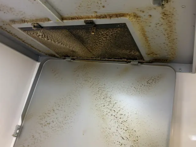 エコ洗剤使用の環境にやさしいハウスクリーニング士です。サービスの画像