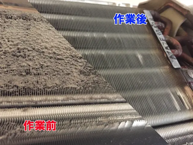 ＜高温蒸気殺菌+オゾン脱臭導入！＞部屋ごと除菌も＜20年超の経験と実績！＞サービスの画像