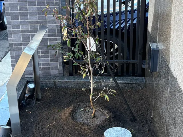 植木の植え替えお任せ下さい♪誰に頼んで良いか迷ったら当店へご相談下さい！サービスの画像