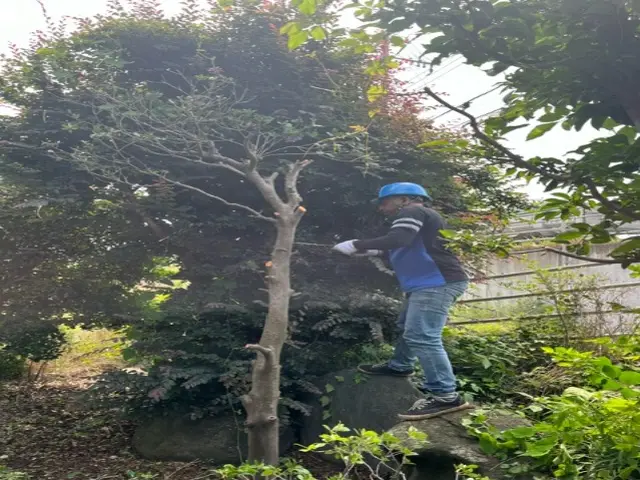 予約対応から作業完了まで当店が対応◎アフターケアも力入れています！サービスの画像