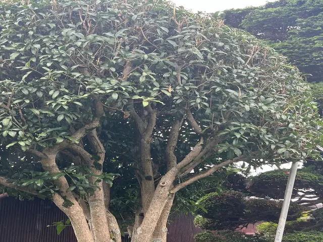 予約対応から作業完了まで当店が対応◎アフターケアも力入れています！サービスの画像