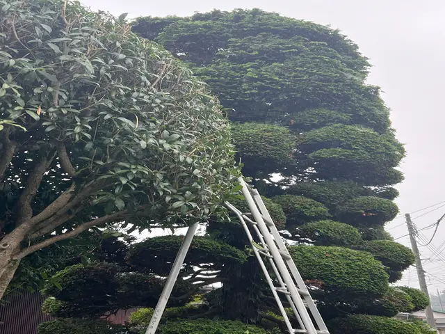 予約対応から作業完了まで当店が対応◎アフターケアも力入れています！サービスの画像