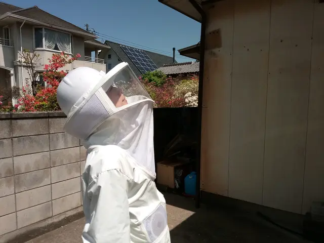 【蜂駆除】群馬県内指定地域密着！作業外注一切なし！サービスの画像