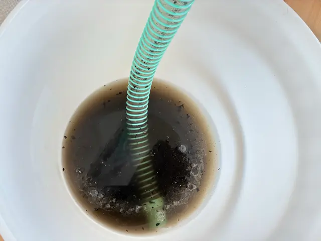 出店キャンペーン中◆通常9000円→7000円(2000円off)◆追加料金無しサービスの画像