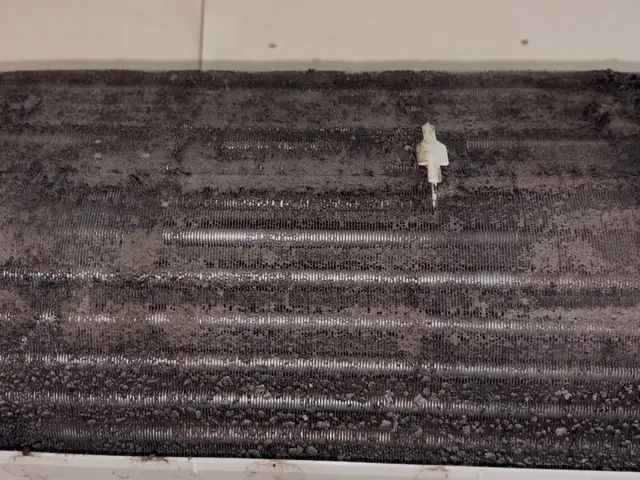 3月新出店◎｜現役大学生の私がお伺いします☆｜安心なエアコンクリーニング専門店サービスの画像