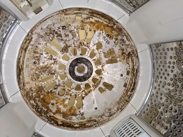 ★洗濯後のワカメみたいな物体　分解洗浄試してみませんか★サービスの画像