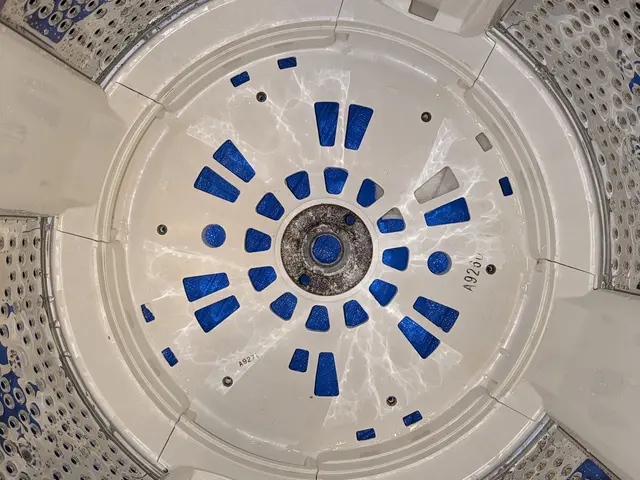 ★洗濯後のワカメみたいな物体　分解洗浄試してみませんか★サービスの画像