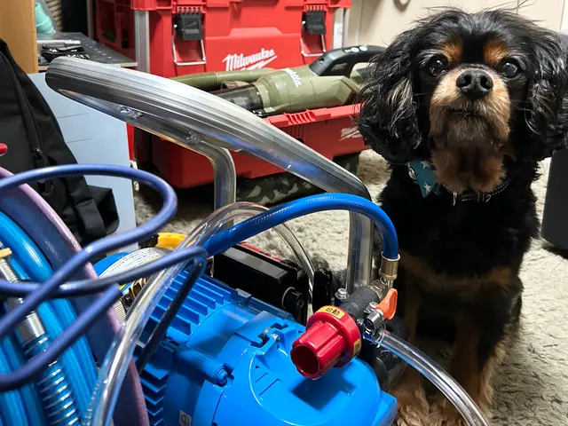 夏の汚れを一掃！プロの清掃で快適空間へ☆私が丁寧に対応致します《 損害保険加入》サービスの画像