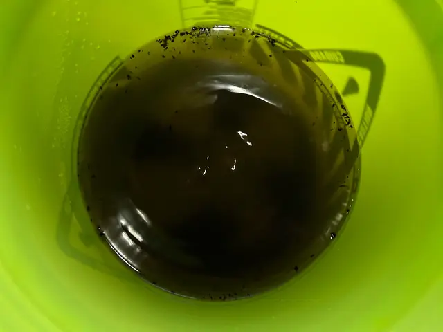 夏の汚れを一掃！プロの清掃で快適空間へ☆私が丁寧に対応致します《 損害保険加入》サービスの画像