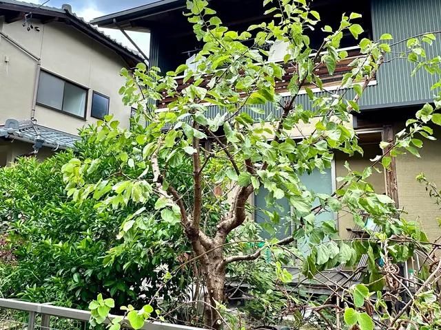 スピードより丁寧さ重視。1本からでも喜んでお受けいたしますサービスの画像