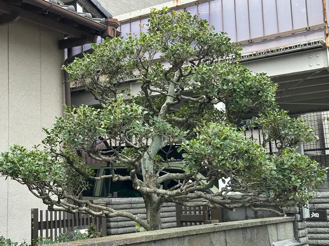 スピードより丁寧さ重視。1本からでも喜んでお受けいたしますサービスの画像