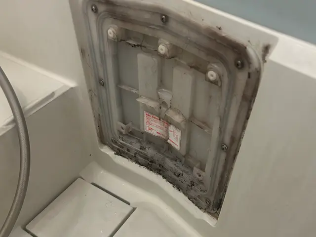 【3点セット】時間が取れないけど掃除したい。ぜひ相談ください♪こつこつ丁寧にサービスの画像