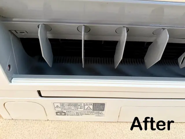 出店記念キャンペーン価格！お掃除機能付きOK！複数割！大手で実績有！損保加入法人サービスの画像